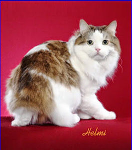 Meet your Posher, Travis